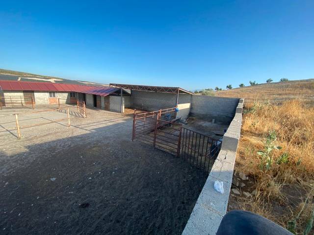 Terreno en Venta en Chimeneas