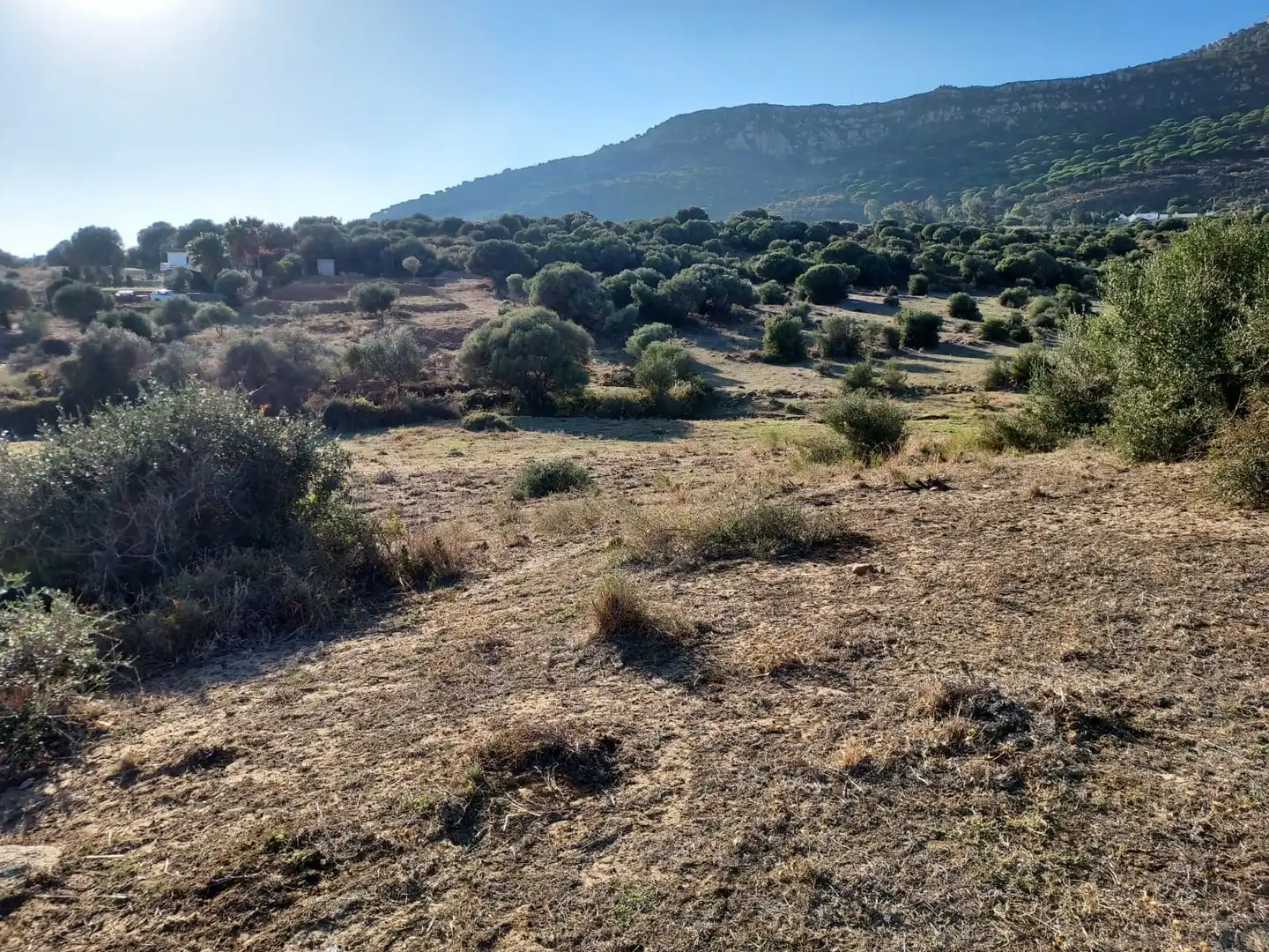 Residential zur Miete in Tarifa