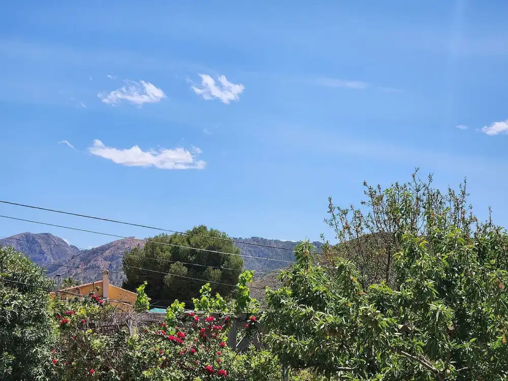 Vista exterior de Casa o chalet en venta en Algueña