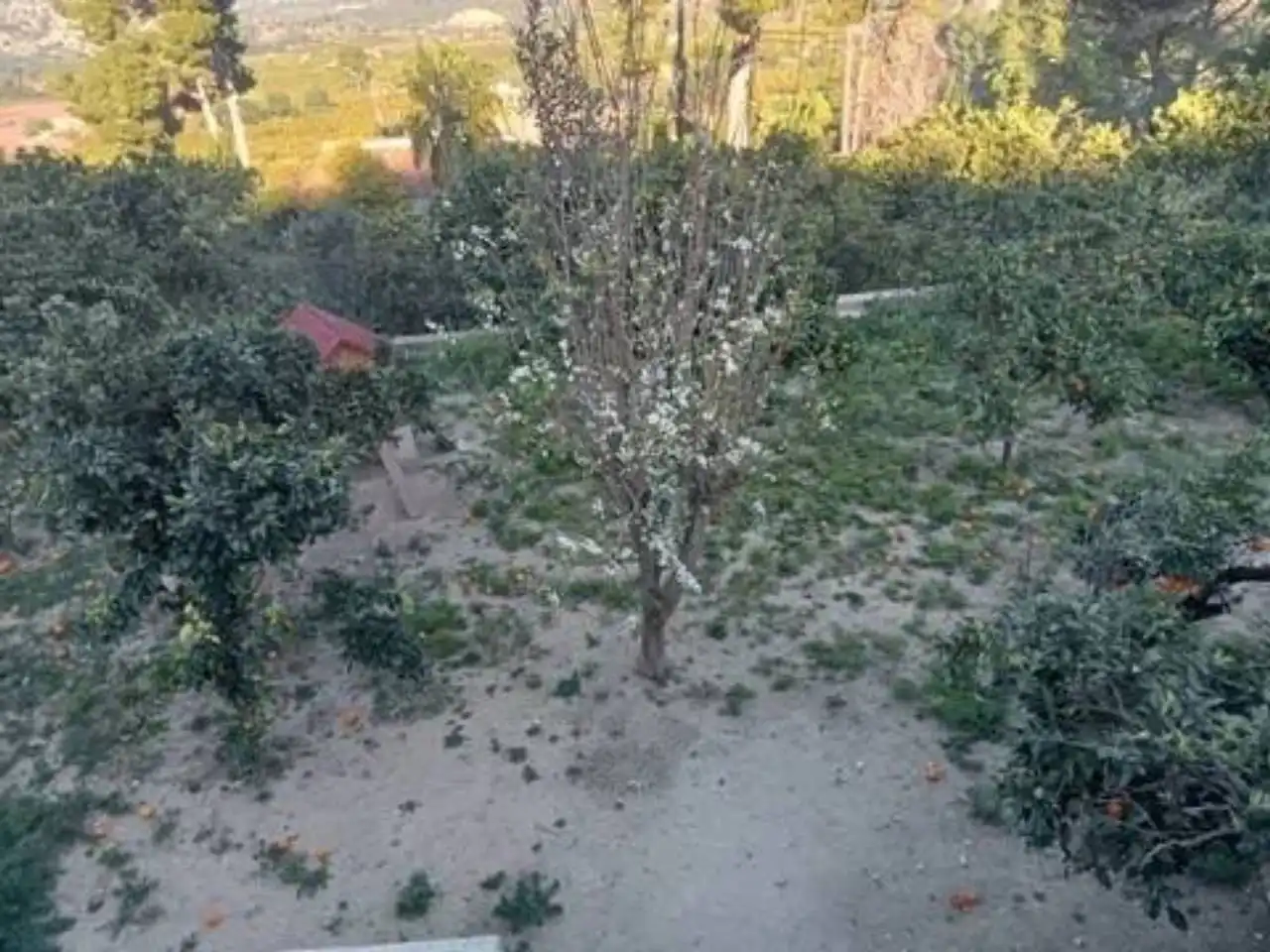 Casa o xalet en venda en Villanueva de Castellón amb Aire condicionat i Terrassa