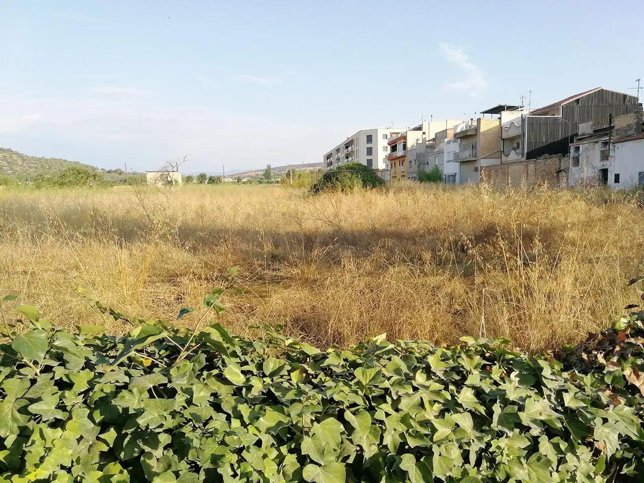 Terrenys i solars en venda a Major 206, imagen 6
