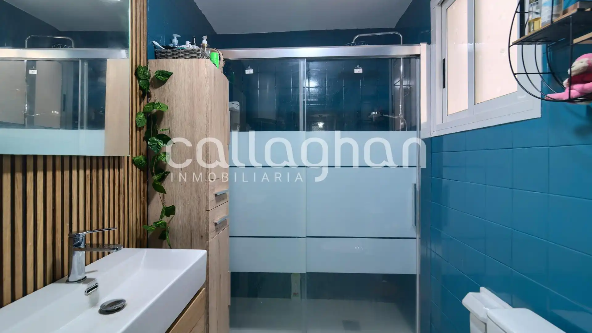 Appartamento con terrazza in vendita a Centro Ciudad, imagen 29