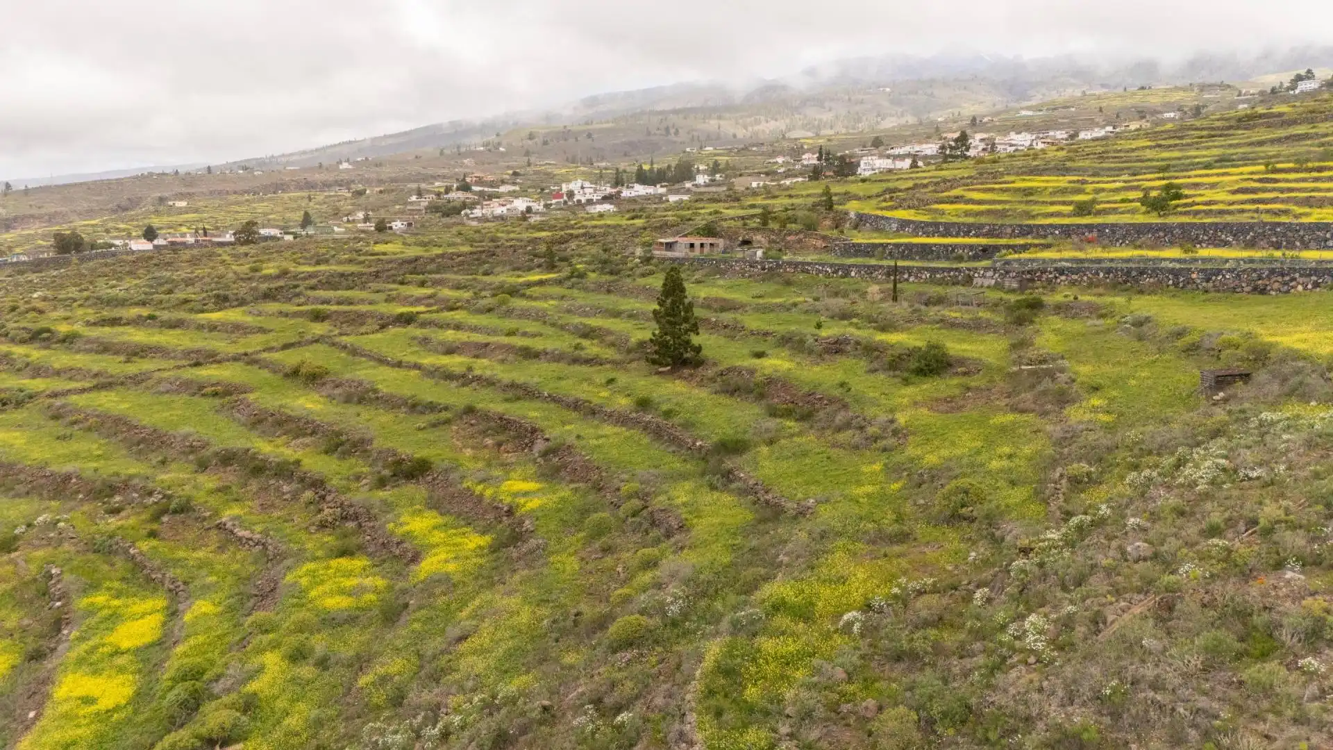 Terreno rustico in vendita a Casco Urbano, imagen 7