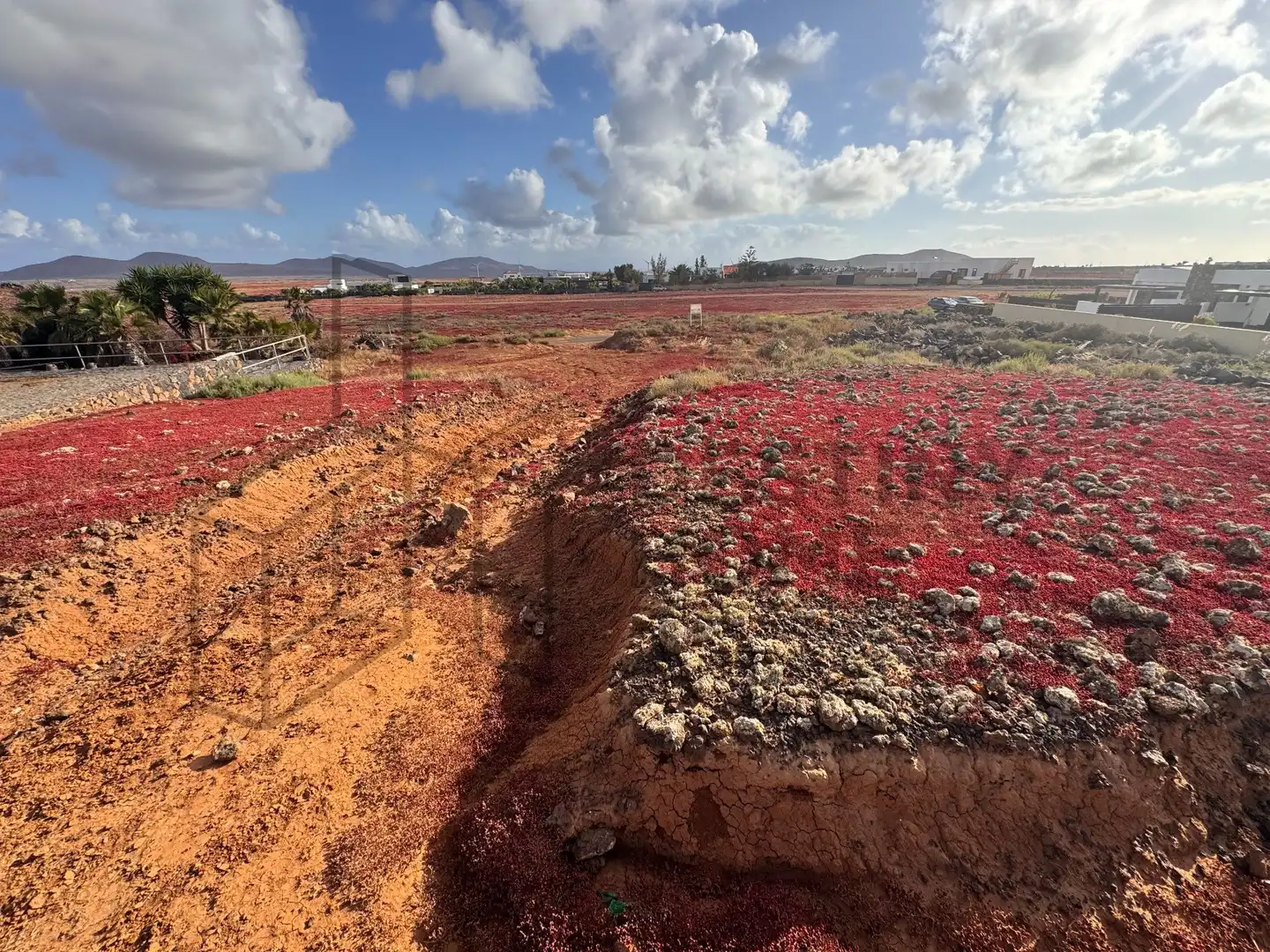 Terreno en venta en La Oliva