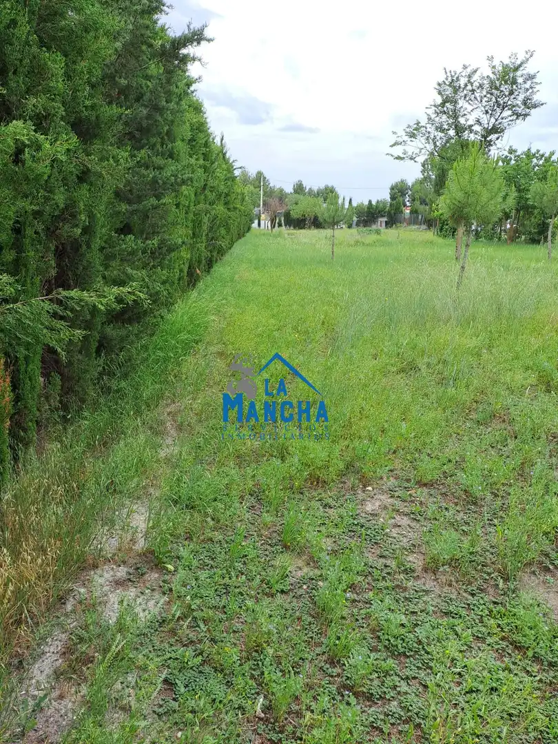 Terreno rustico in vendita a Polígono 68 Paraje 136 CASICA OREA, imagen 4