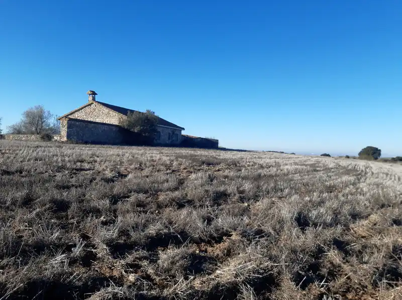 Land for sale in Alcalá de Henares