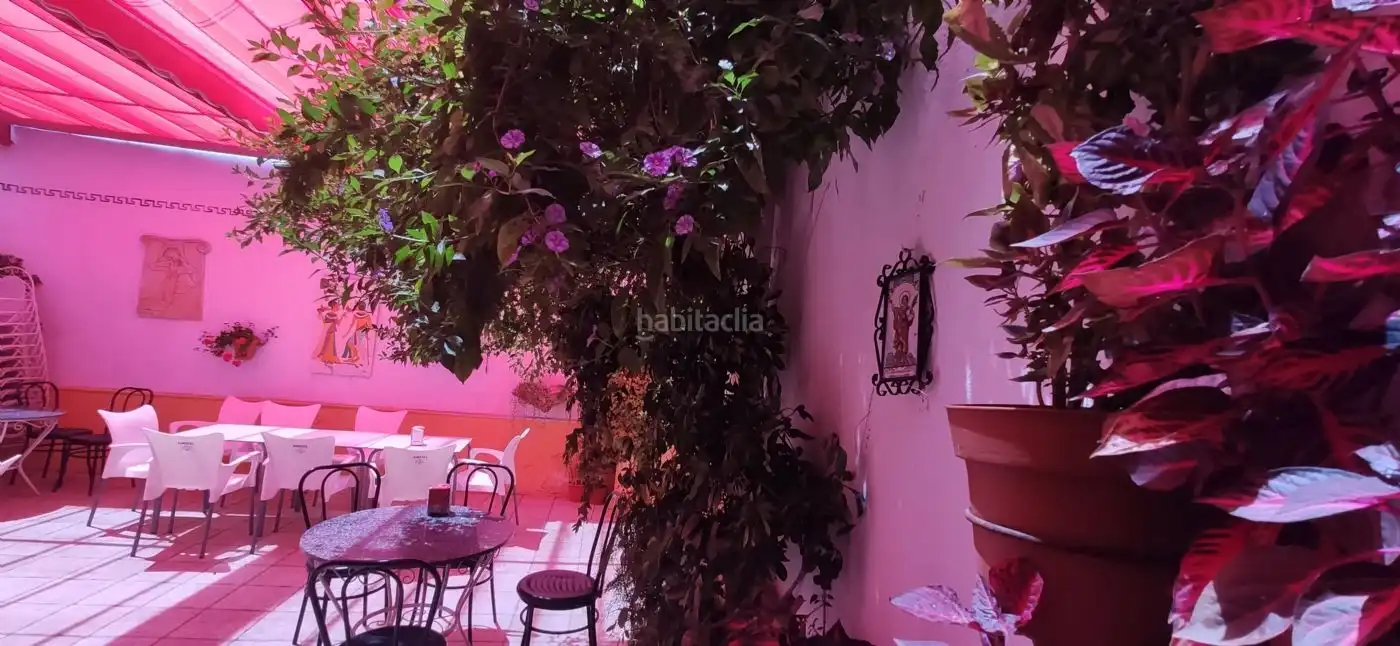 Local comercial en venta en Avenida José Simón de Lillo 35, imagen 13