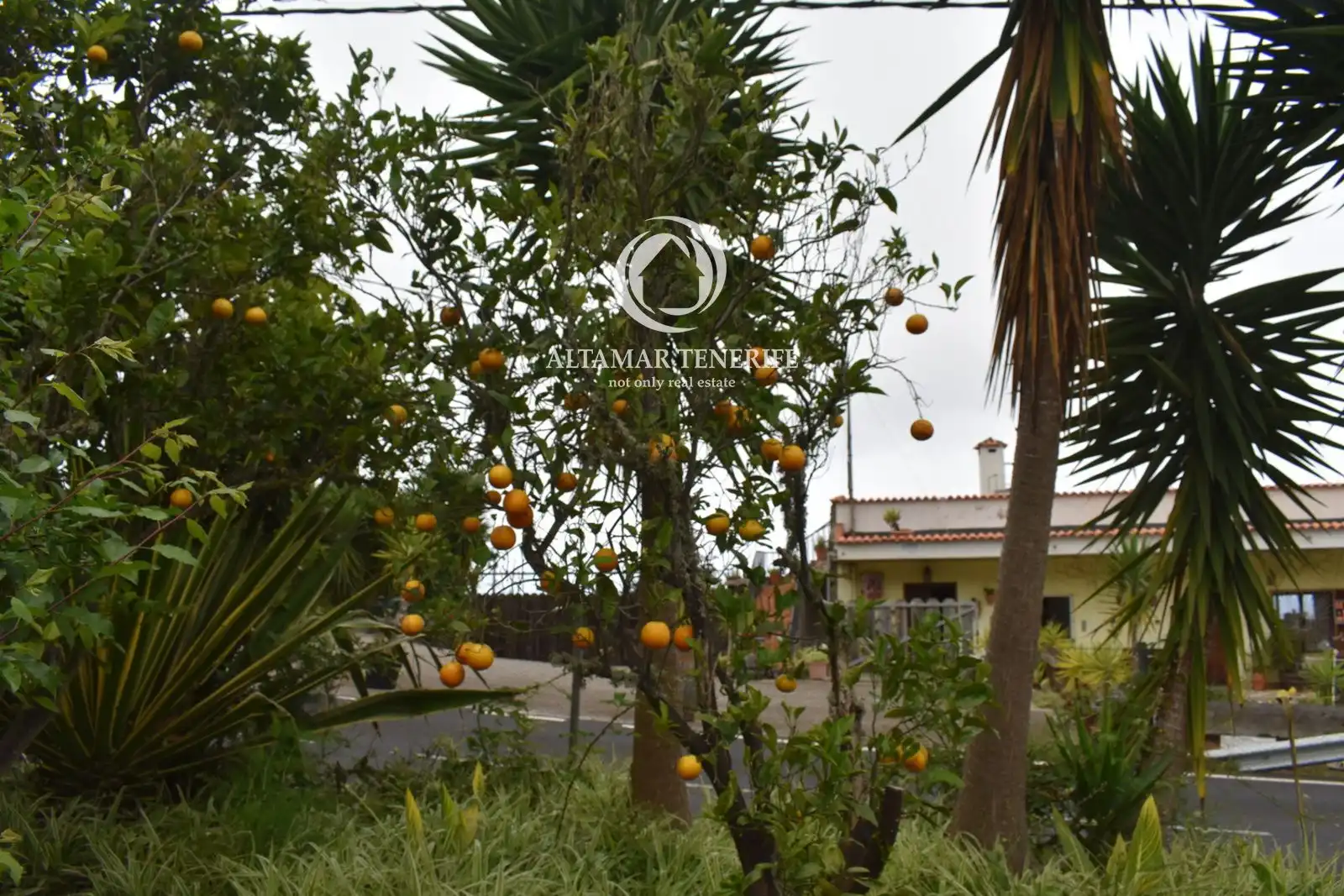 Jardí de Casa o xalet en venda en Icod de los Vinos amb Terrassa, Traster i Moblat