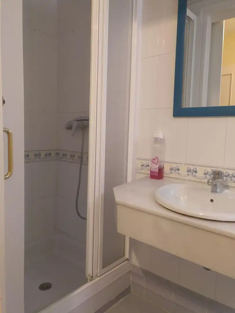 Baño de Piso de alquiler en Sevilla con Aire acondicionado, Amueblado y Horno