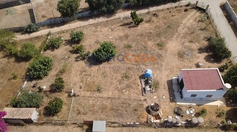 Foto 5 de Finca rústica en venta en Los Granadillos, Pedanías Norte, Utrera