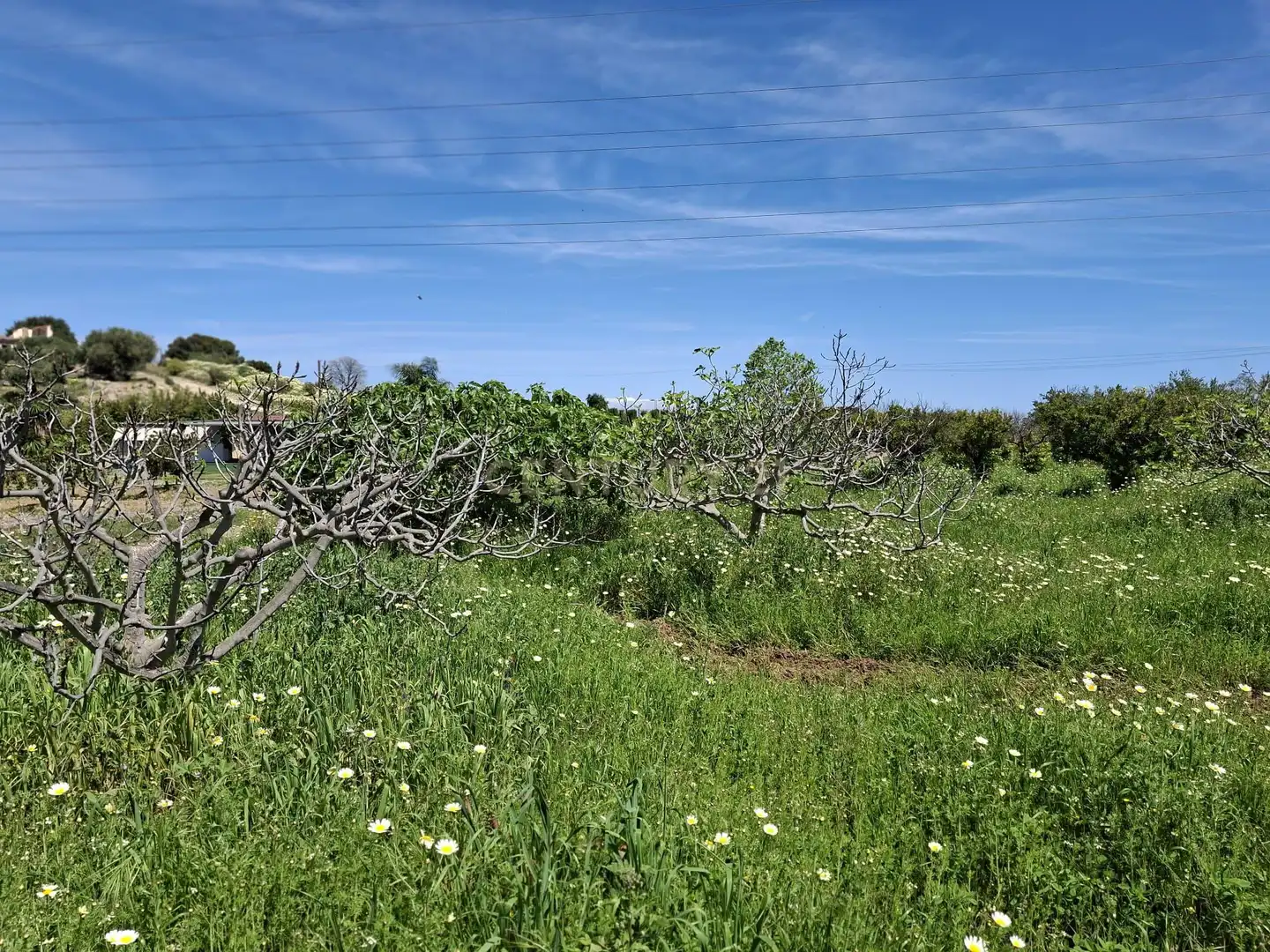 Terreni e lotti in vendita a Calle Tubelorda, Alhaurín de la Torre, Spain, imagen 17