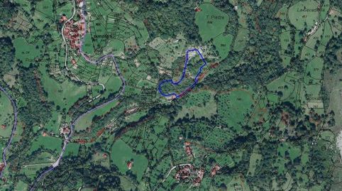 Subasta Concursal Finca Rústica destinada a Prado, Matorral y Cantera. El Condado, Concejo de Laviana. Asturias.