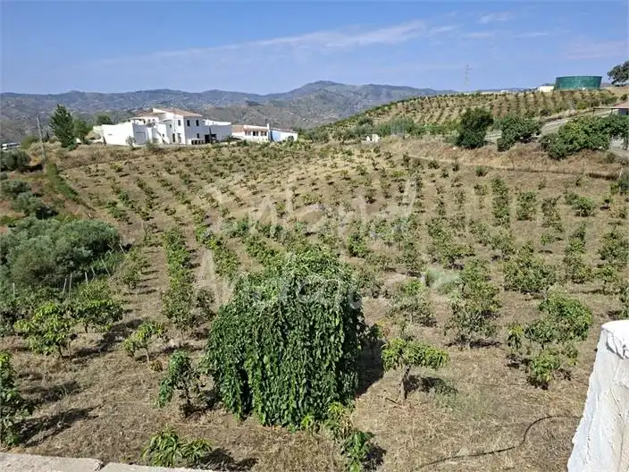 Terreni e lotti in vendita a Vélez-Málaga ciudad, imagen 12