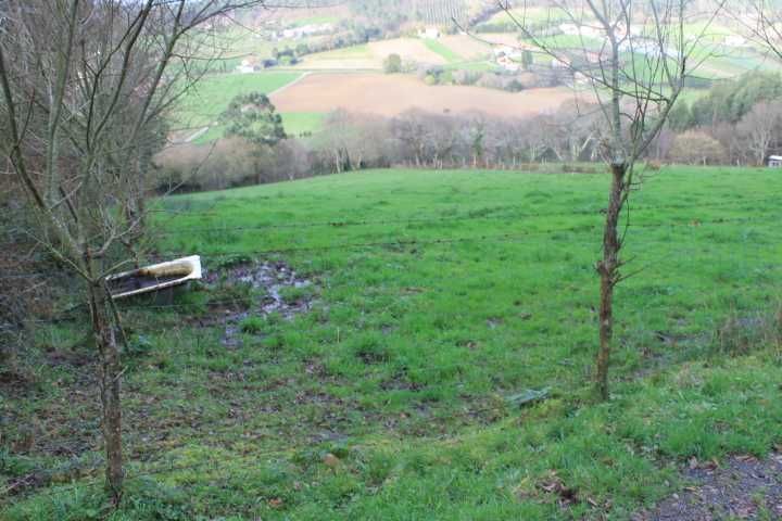 Land for sale in DP-1915, 25, Carballo