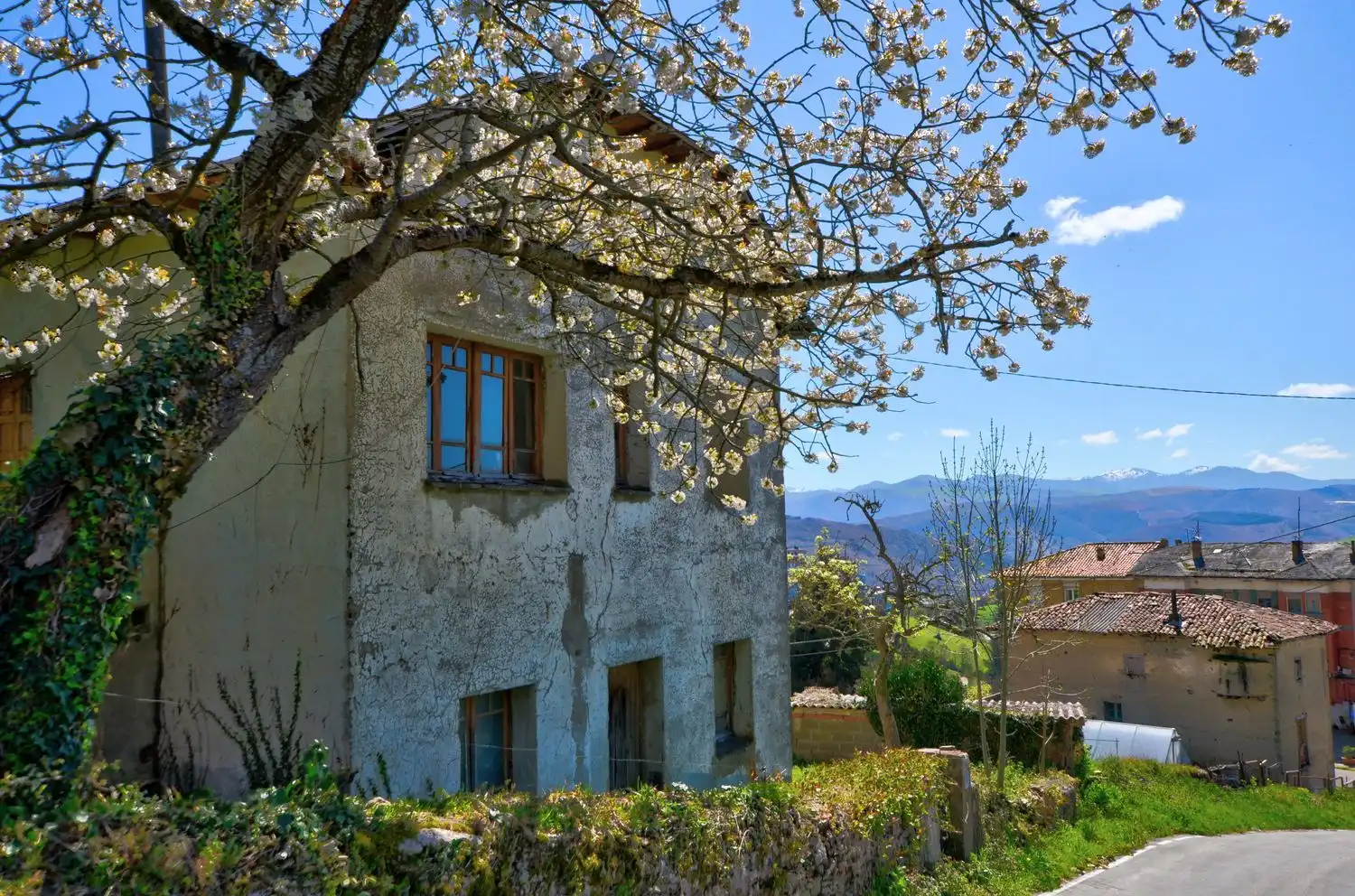 Vista exterior de Casa o chalet en venta en Tineo con Piscina