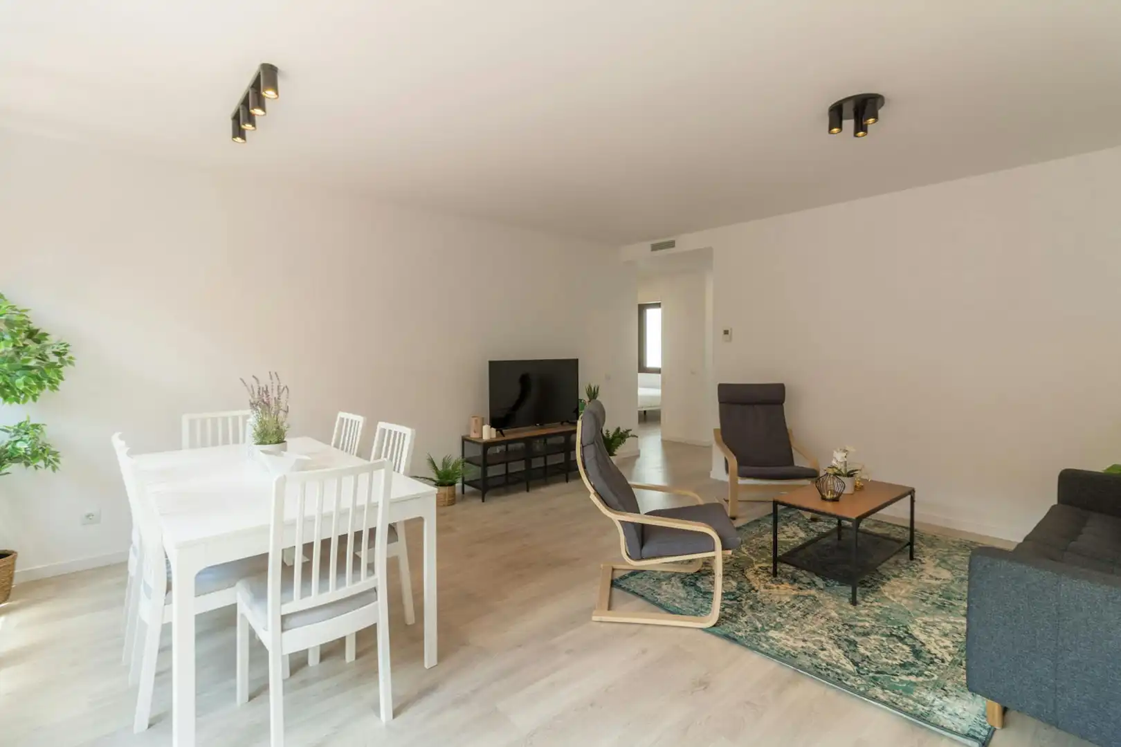 Sala d'estar de Pis de lloguer en Barcelona amb Aire condicionat, Moblat i Rentadora