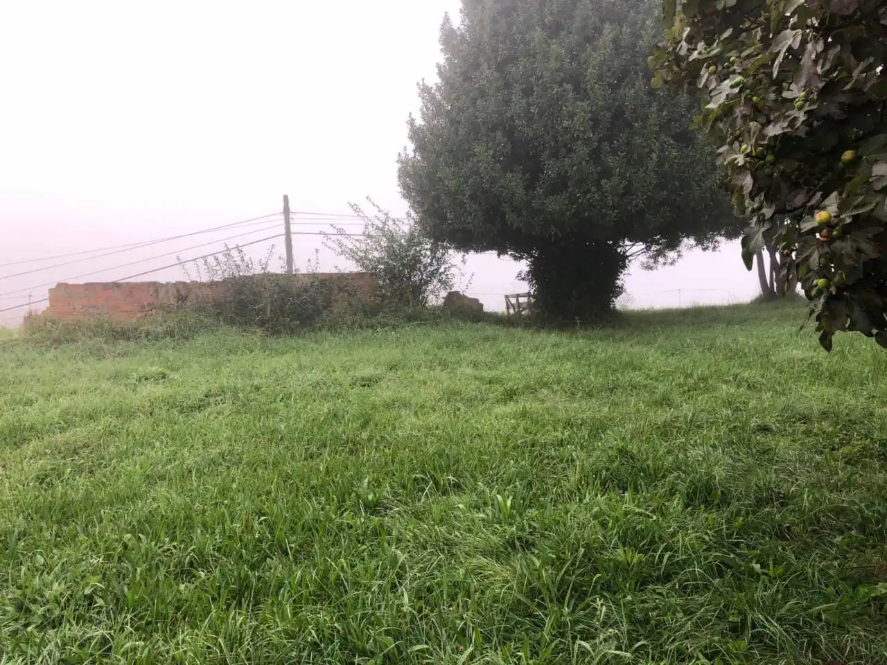 Terreny residencial en venda a San Claudio - Trubia - Las Caldas, imagen 11