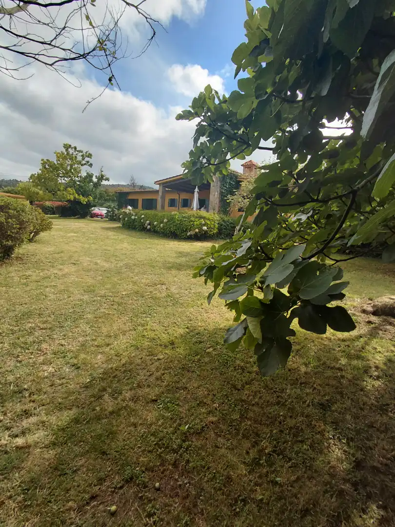 Chalet con piscina en venta en Perbes 60, imagen 72