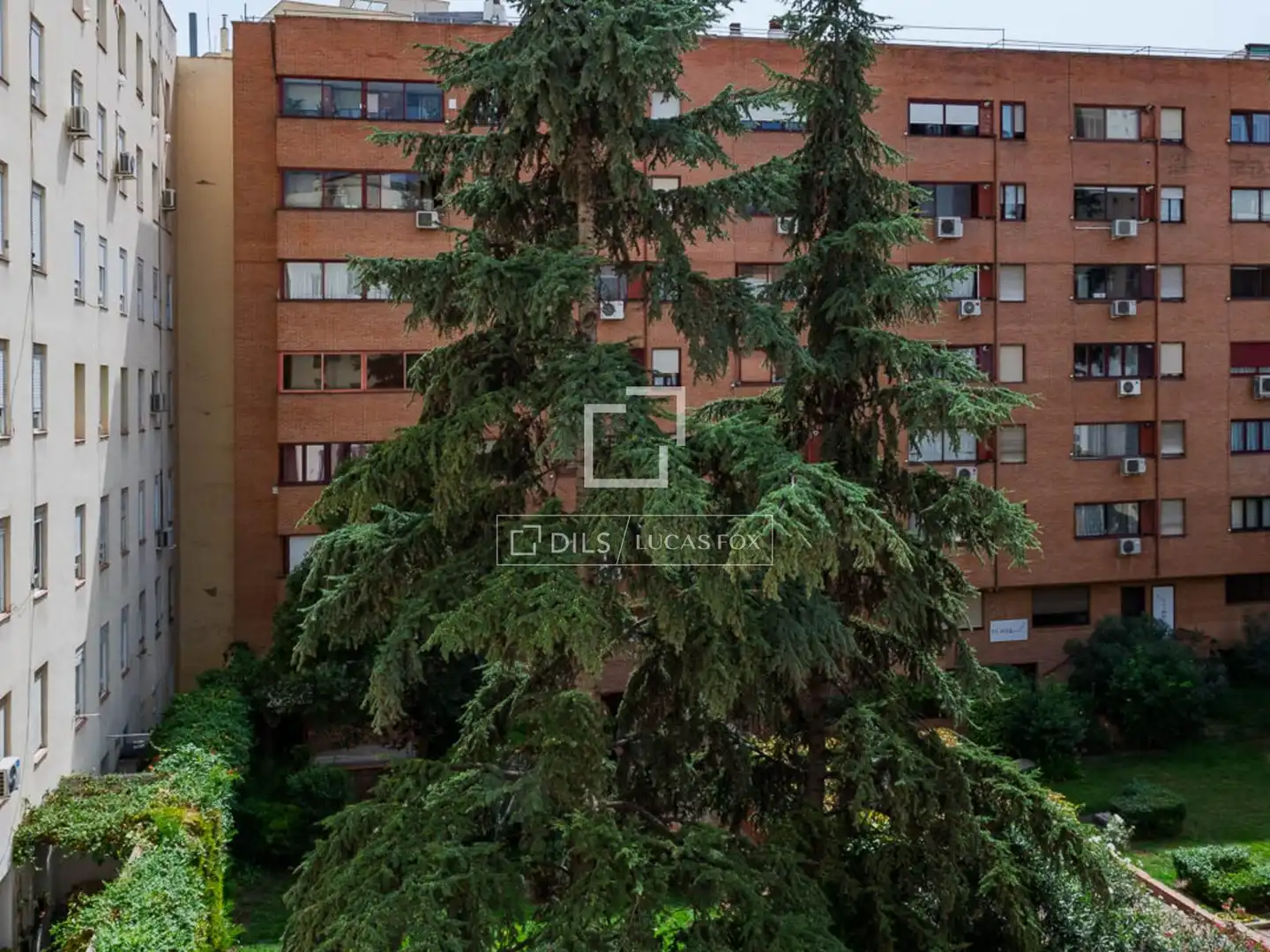 Appartement avec terrasse à louer à Retiro, imagen 27