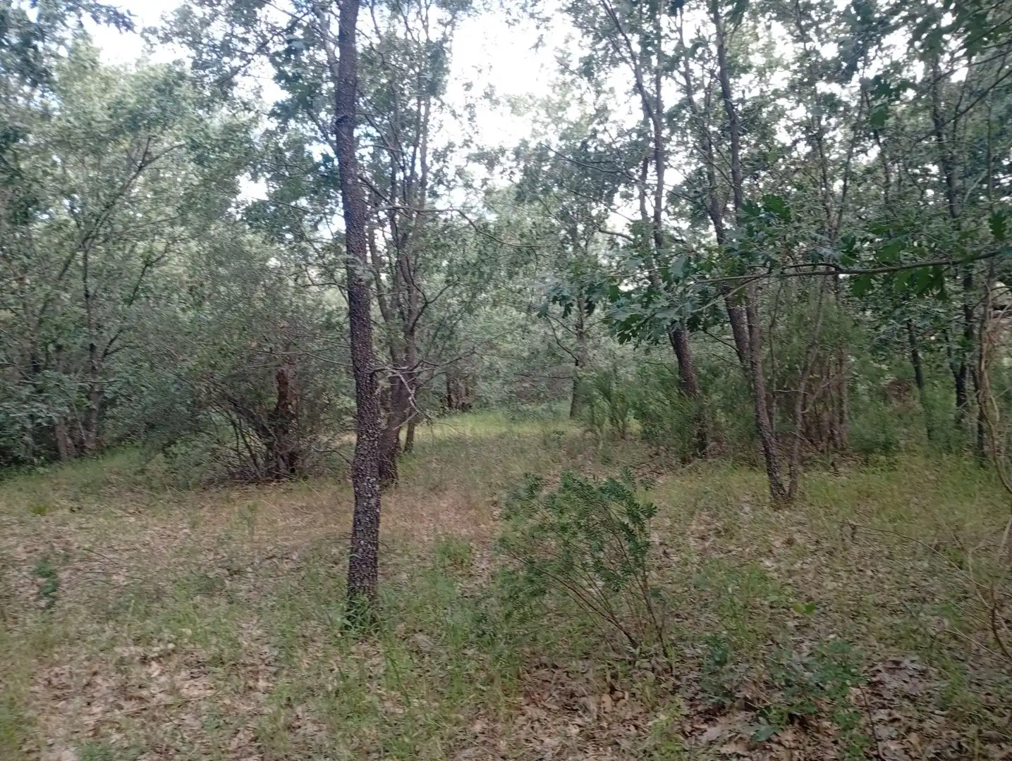 Terreni e lotti in vendita a Losar de la Vera