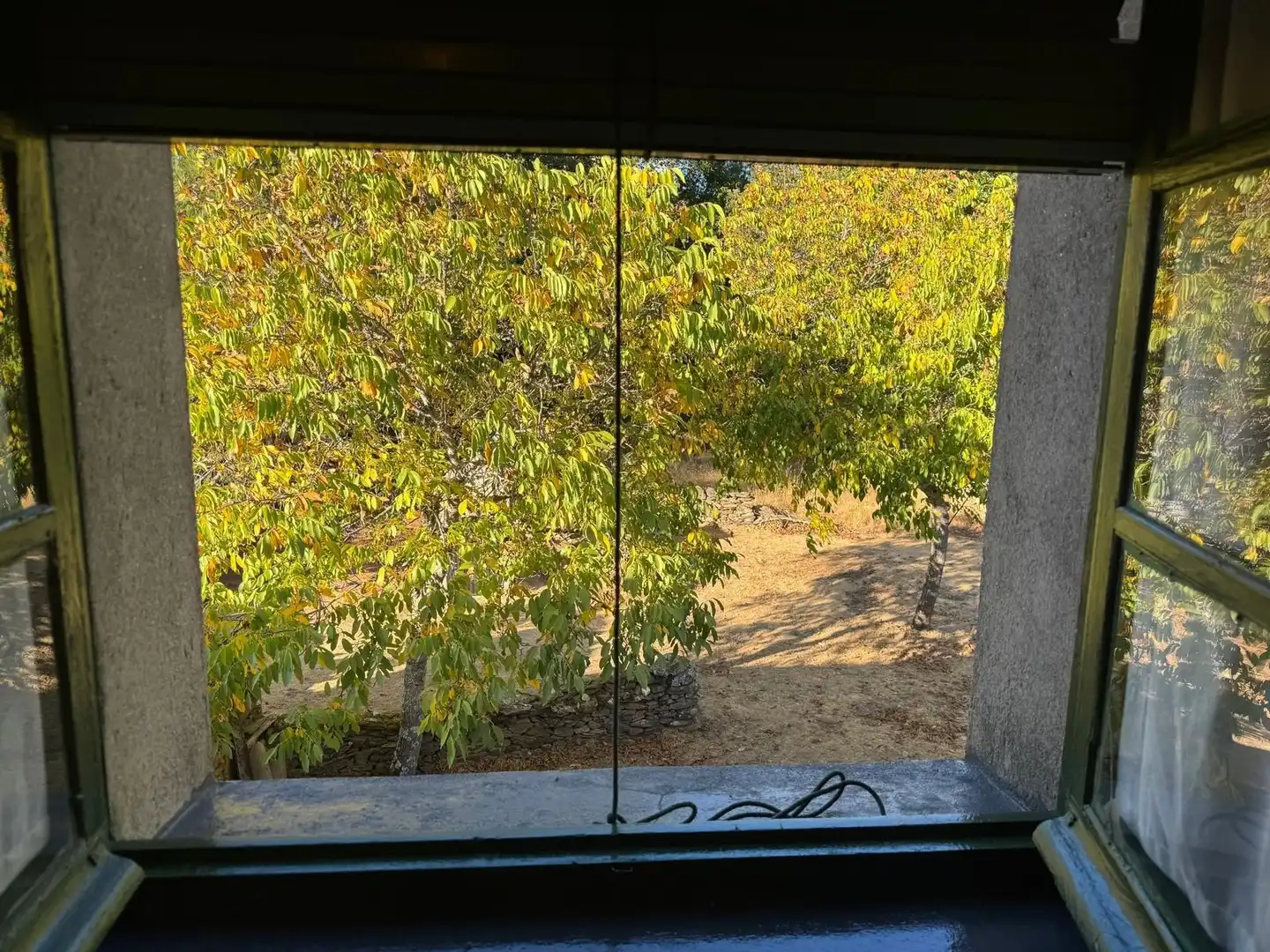 Vista exterior de Finca rústica en venta en Palacios de Sanabria con Jardín privado, Amueblado y Balcón