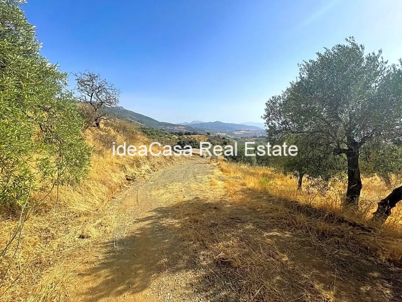 Land for sale in Casarabonela