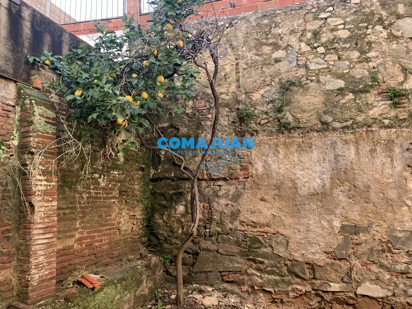 Planta baja en venta en Argentona