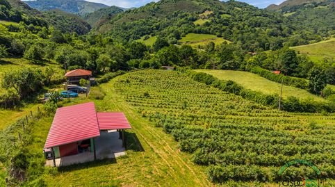 INCREIBLE FINCA EN COALLA  GRADO, immagine 2