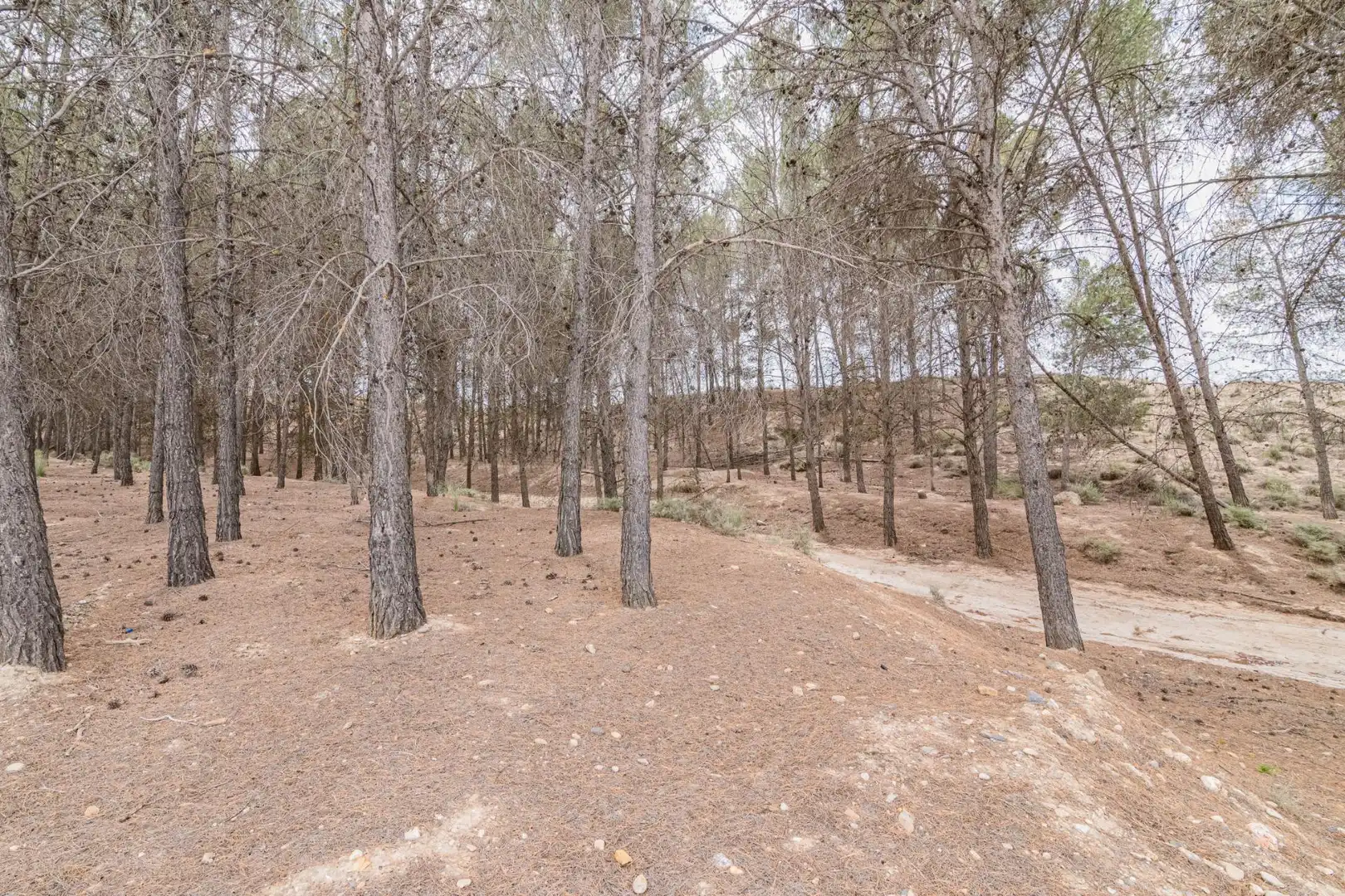 Apartamento en venta en Baza, imagen 35