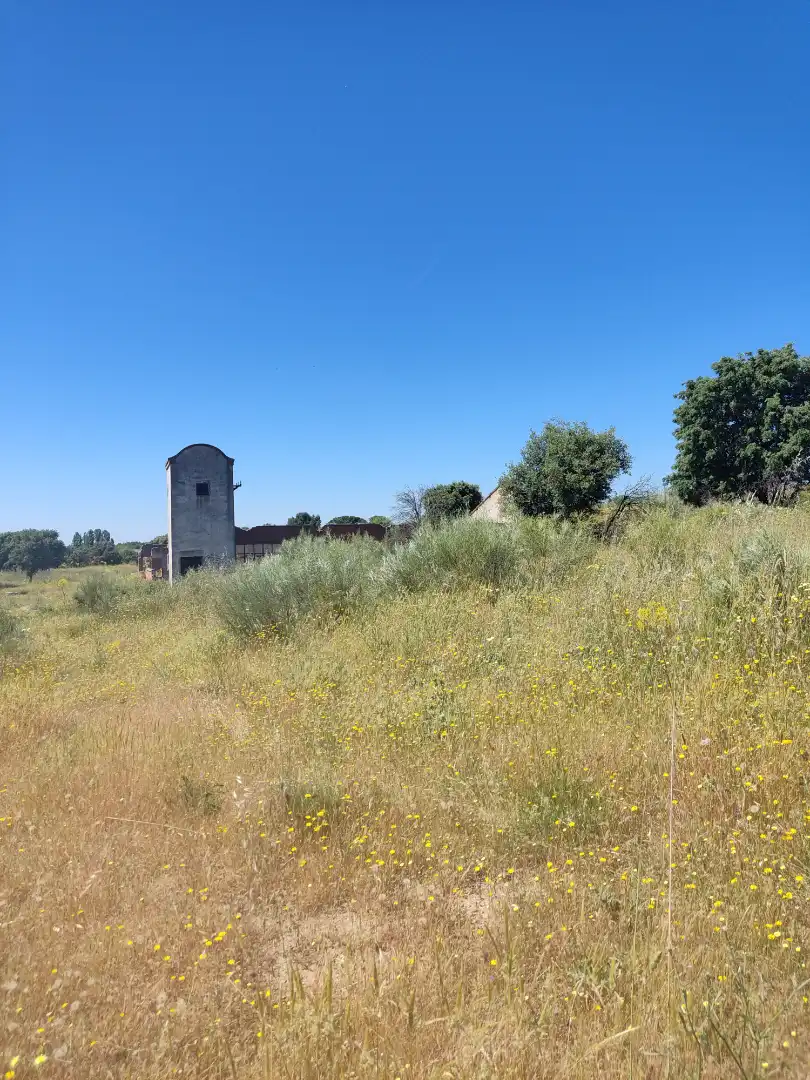 Land for sale in Navalcarnero