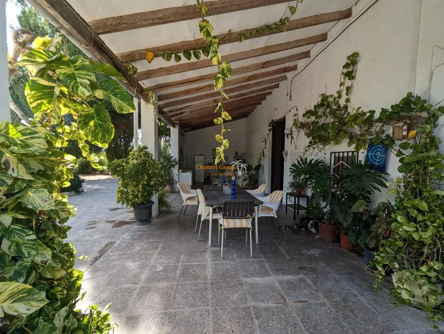 Country homes for sale in Centro