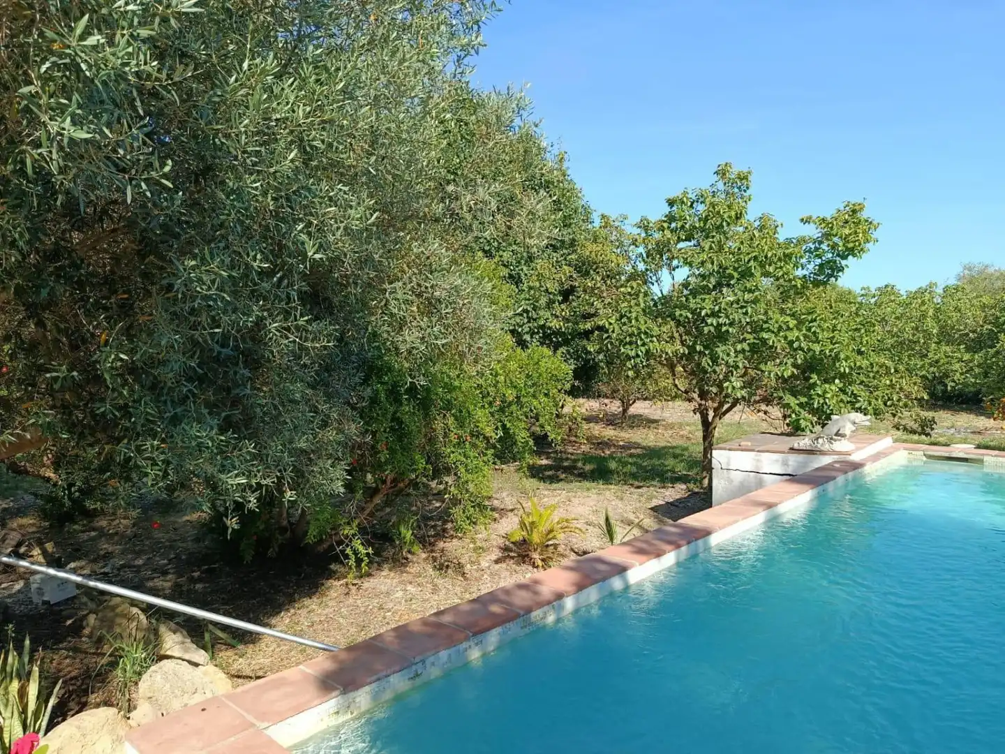 Casa rústica amb piscina en venda a San Martín del Tesorillo, imagen 53