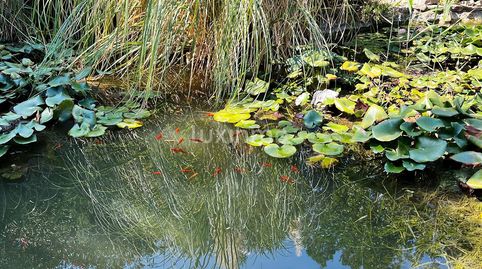 Photo 4 of Houses for sale in El Montgó, Dénia