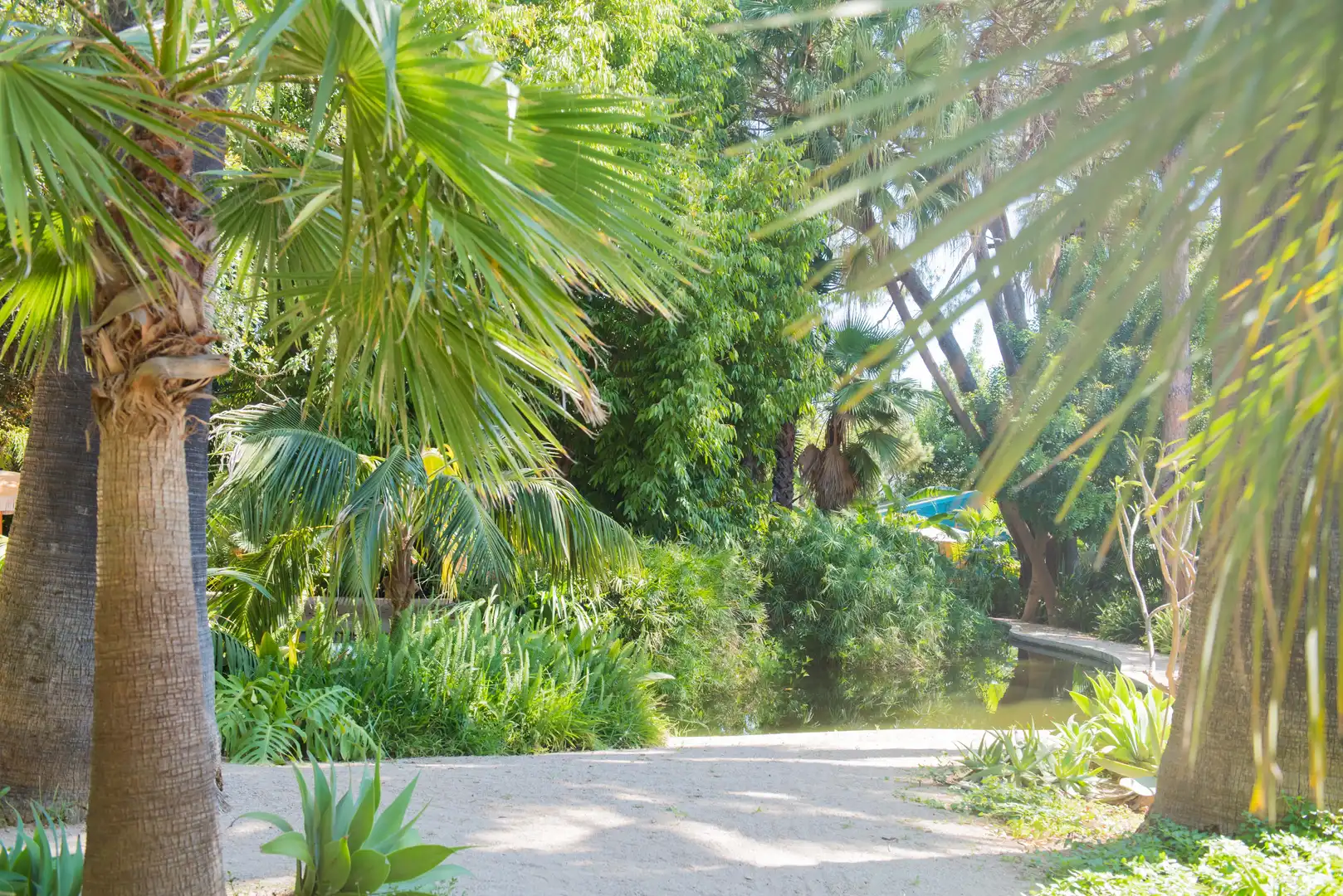 Jardín de Finca rústica en venta en Sagra con Aire acondicionado, Terraza y Piscina
