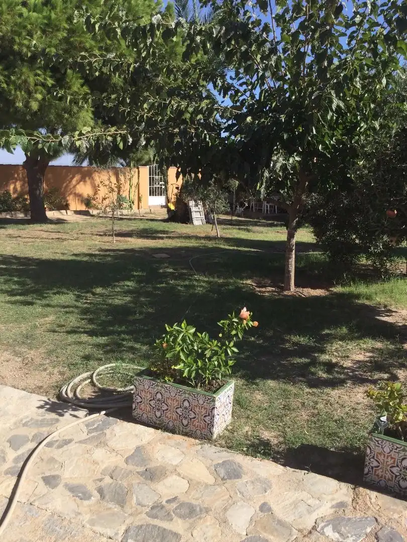 Villa avec jardin à vendre à Mar Menor de Cartagena – Cabo de Palos, imagen 22