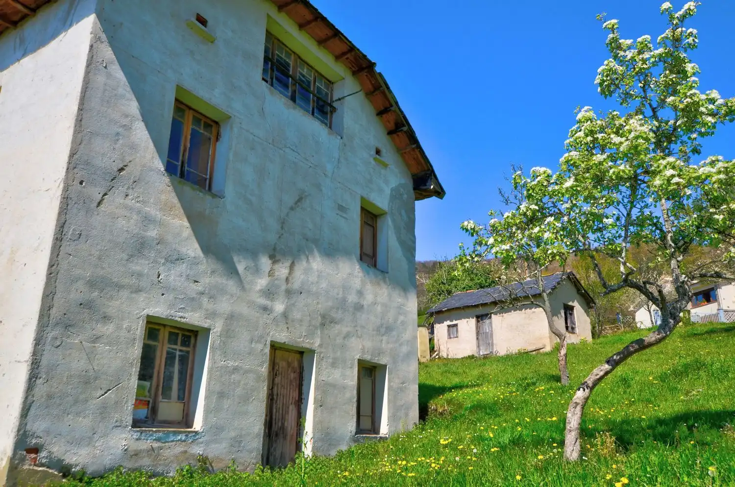 Vista exterior de Casa o chalet en venta en Tineo con Piscina