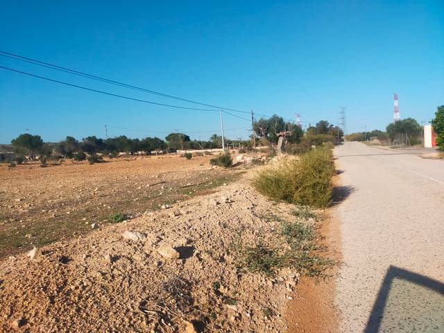 Terreno en Venta en Jubalcoi