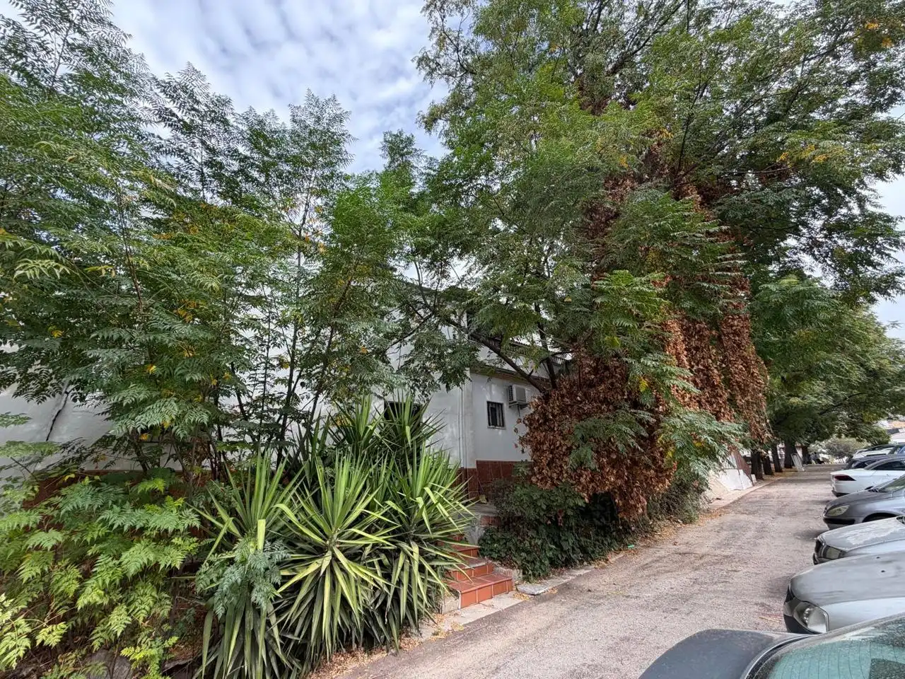 House for sale in Calle Belén 13, imagen 2
