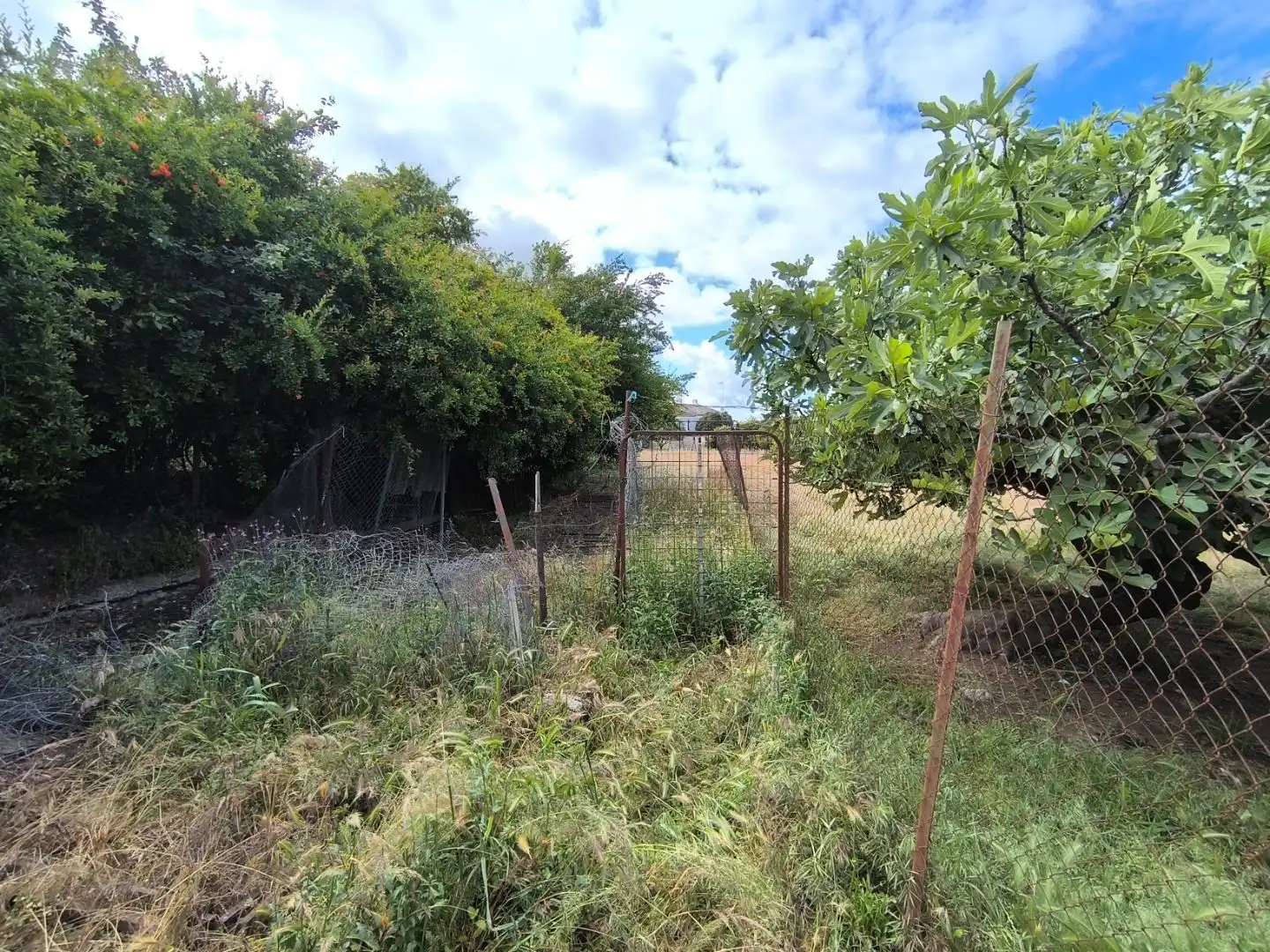 Terreno residencial en venta en Huertas 2, imagen 5