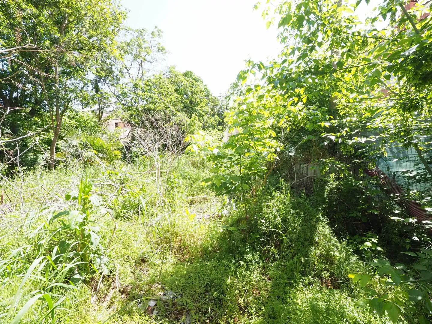 Terreny residencial en venda a Capellades, imagen 4
