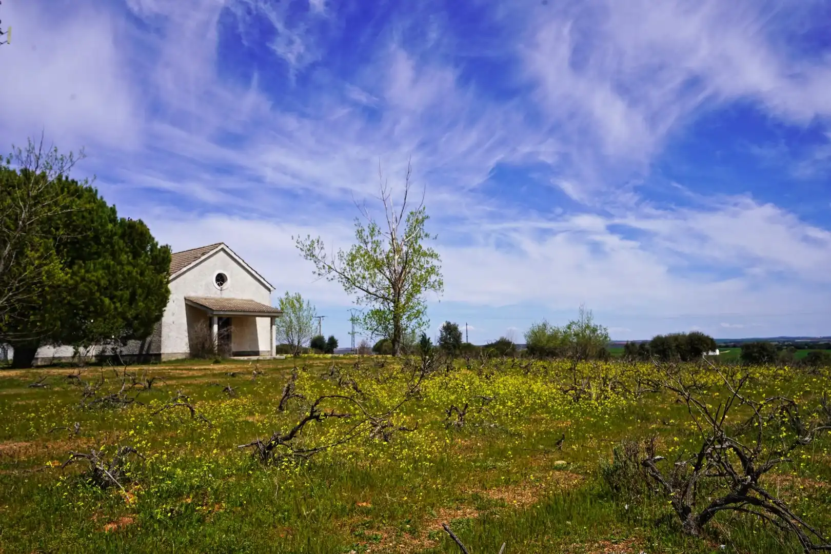 Houses for sale in Topas  with Heating, Terrace and Swimming Pool