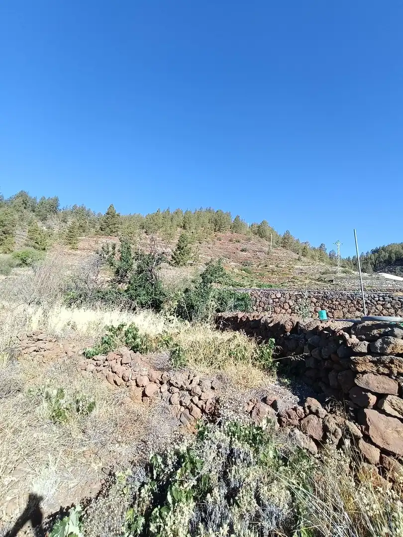 Terreno rústico en venta en M\A LIRIOS. VILAFLOR DE CHASNA [S.C. TENERIFE], imagen 18