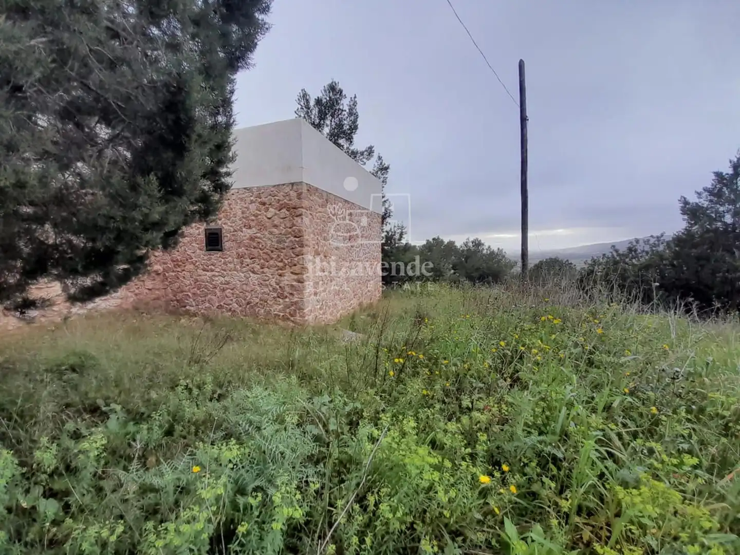 Casa o xalet en venda en Santa Eulària des Riu amb Jardí privat