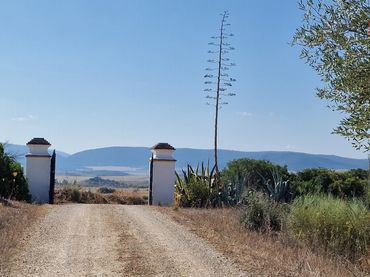 Casa rústica en venta en Arcos de la Frontera