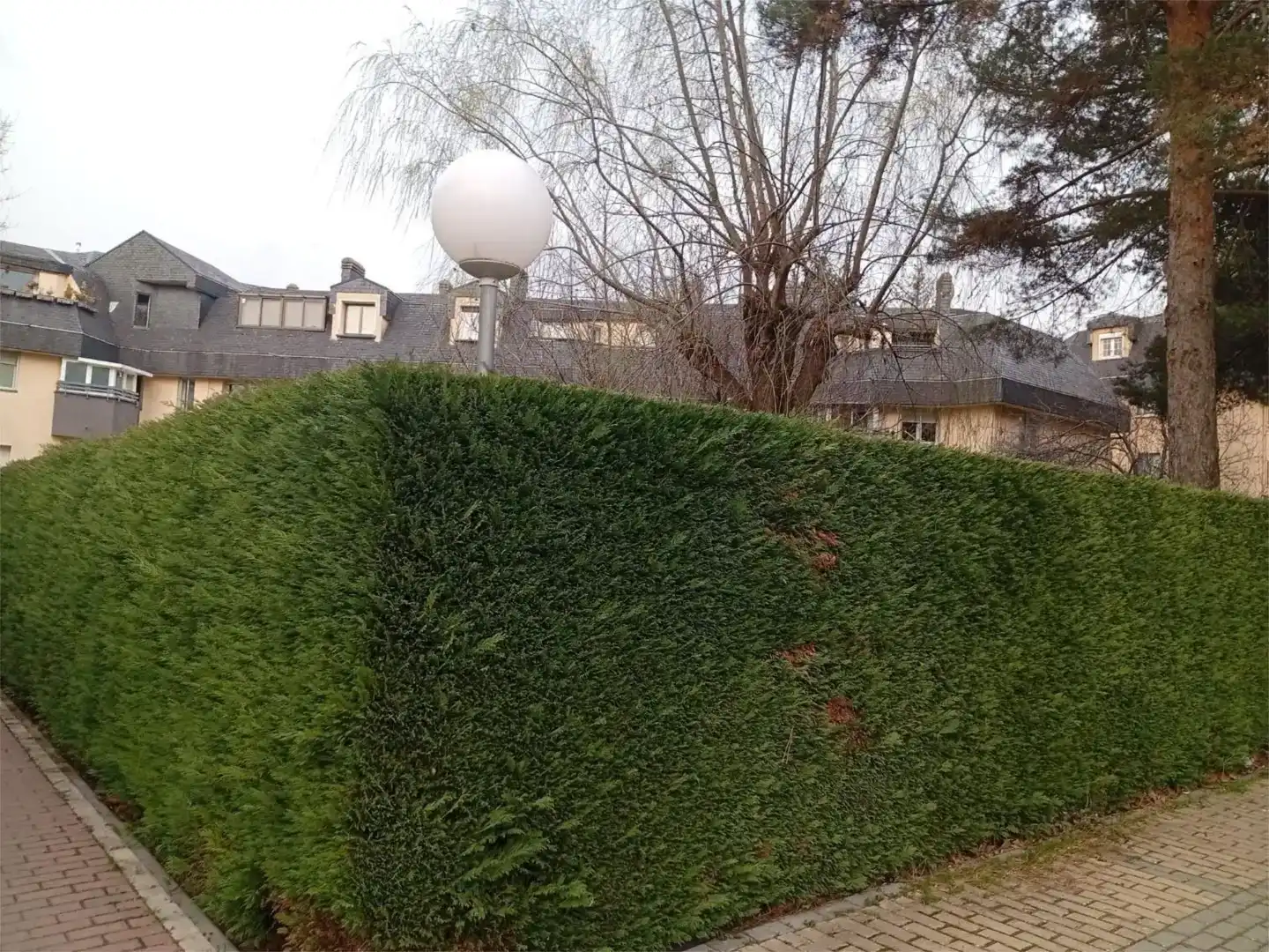 Vista exterior de Pis en venda en Palazuelos de Eresma amb Balcó
