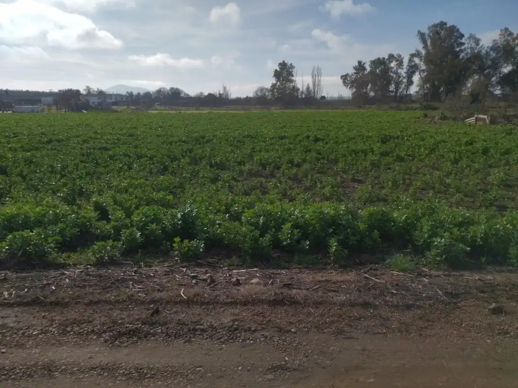 Terreno rustico in vendita a Mengabril, imagen 4
