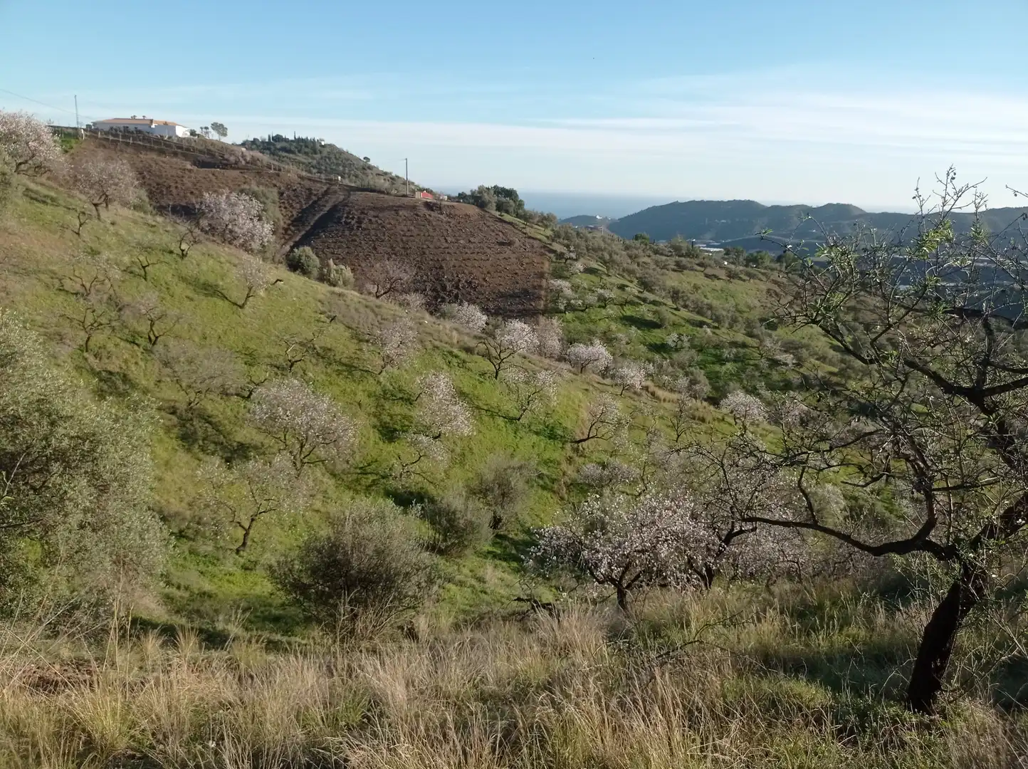 Lands and plots for sale in Iznate, imagen 7