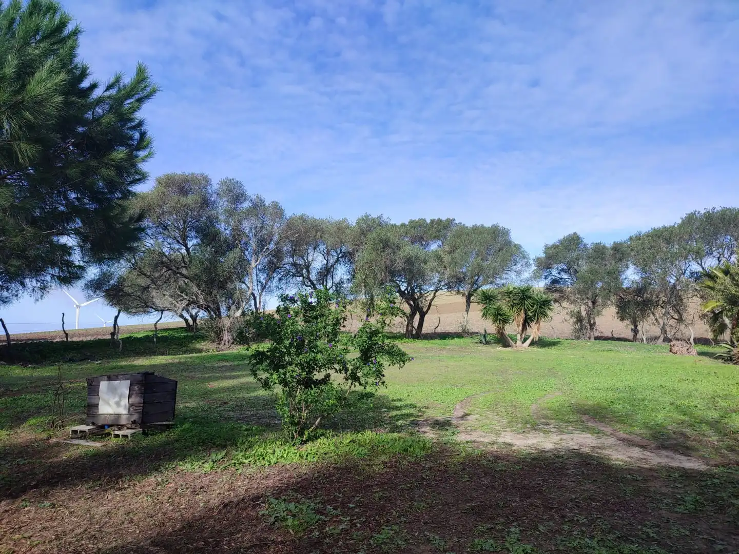 Haus oder Chalet zum Verkauf in Vejer de la Frontera mit Heizung, Privatgarten und Parkett