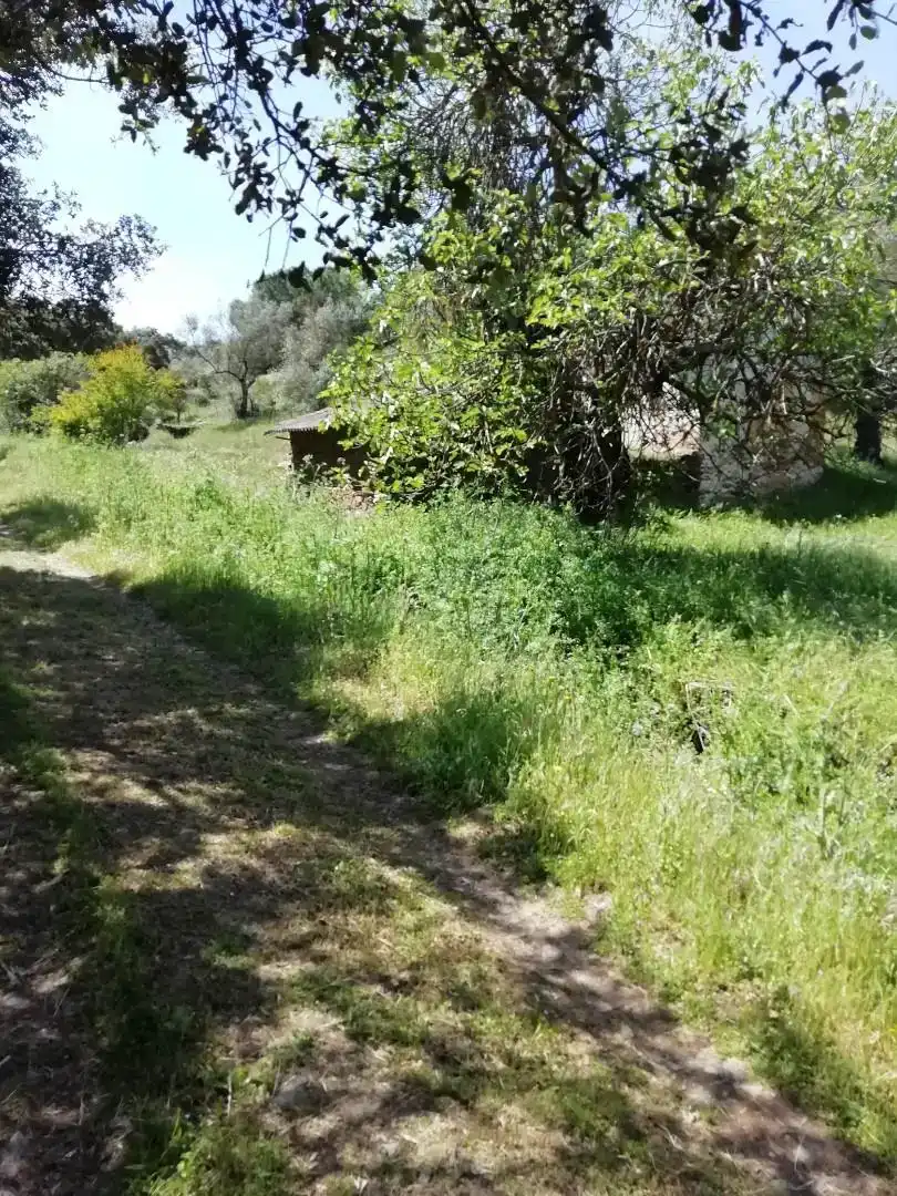 Terreno en venta en Cumbres Mayores, Huelva