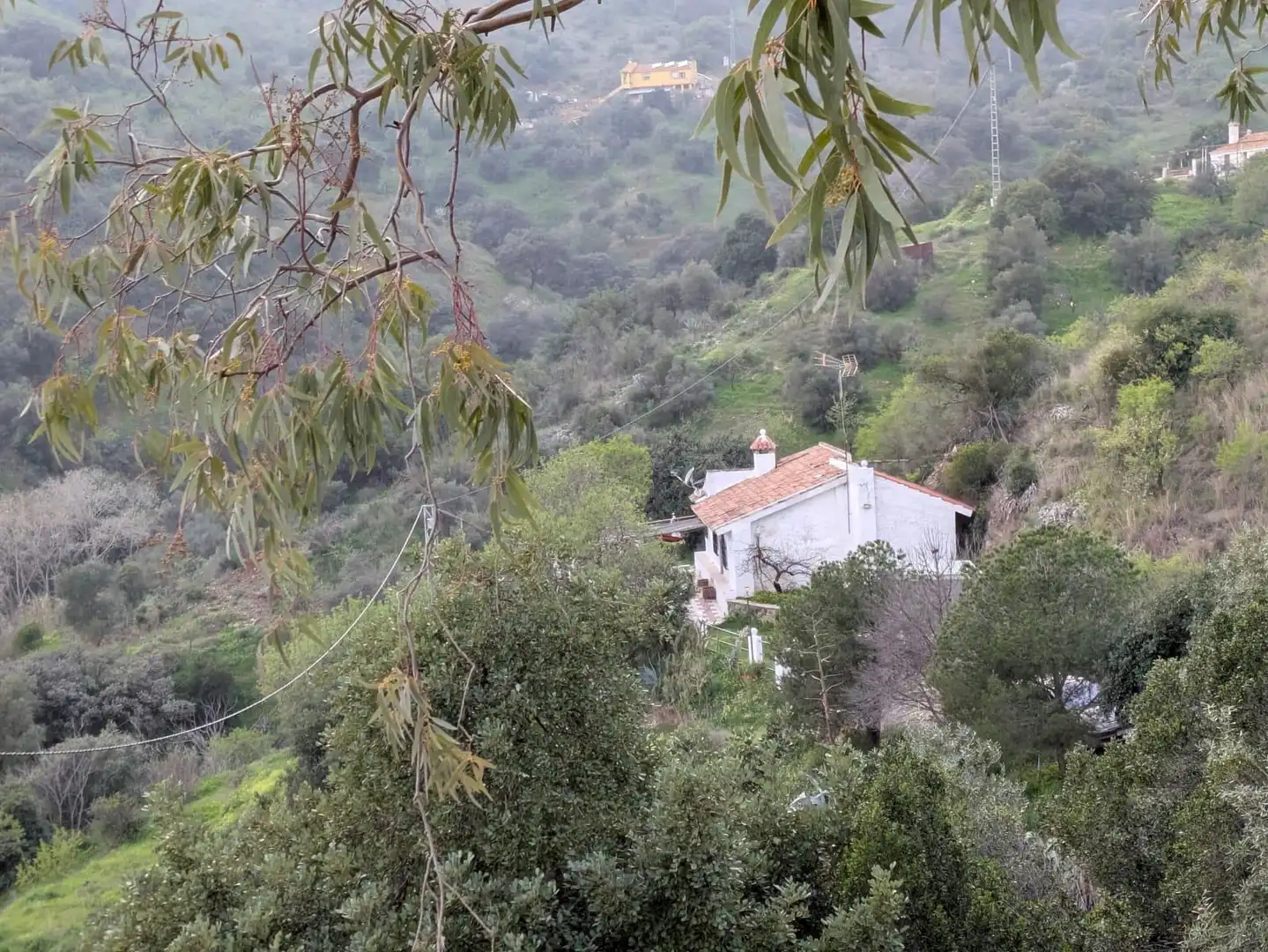 Exterior view of Country homes for sale in Málaga